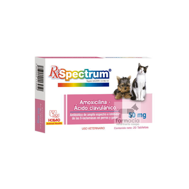 (Copia) Spectrum Amoxicilina-Ácido clavulánico 50 mg