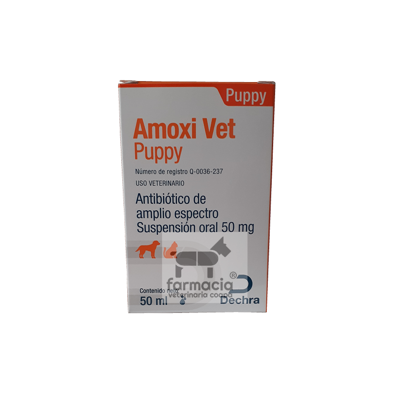 Amoxi Vet puppy 50