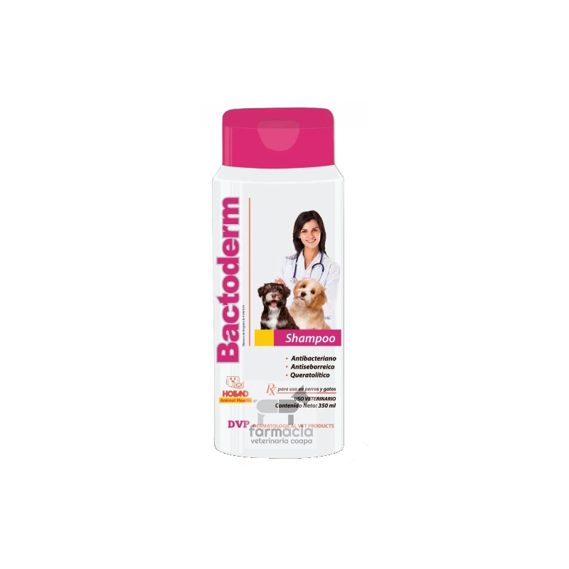 Bactoderm shampoo