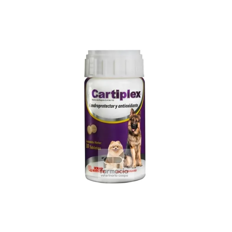 Cartiplex