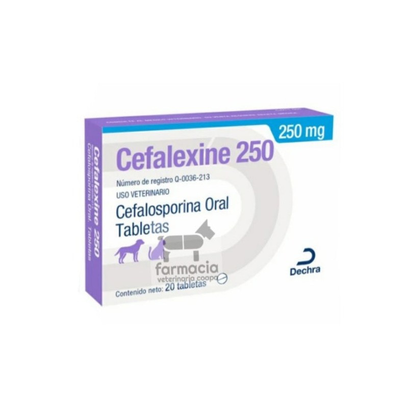 Cefalexine 250