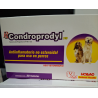 Condroprodyl