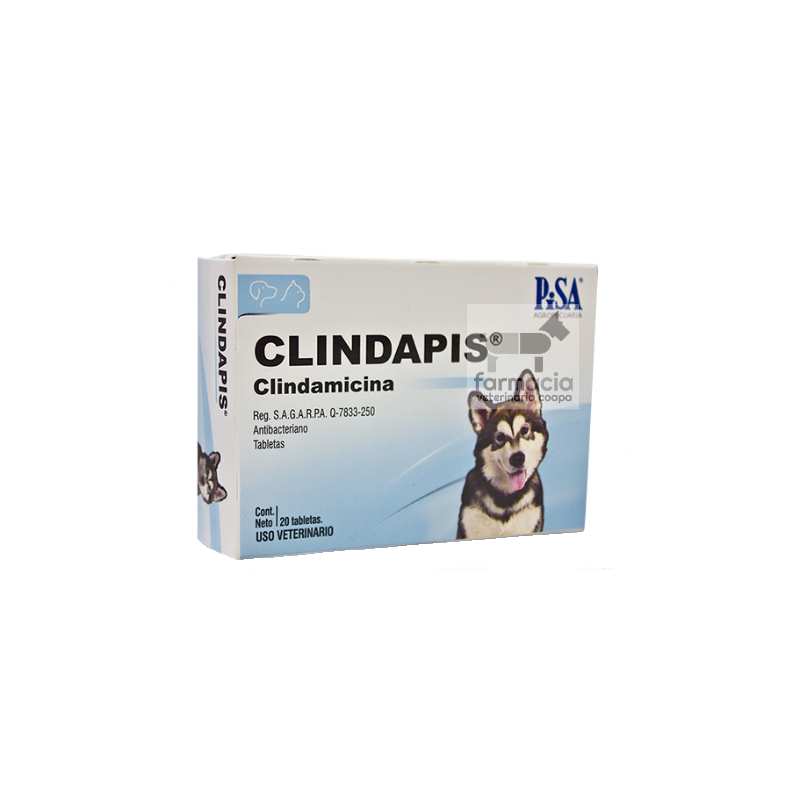 Clindapis