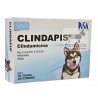 Clindapis