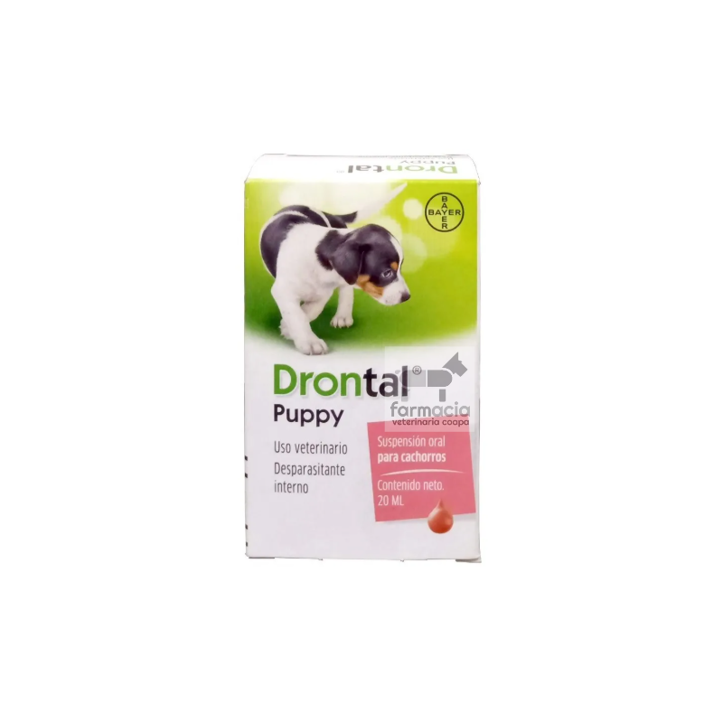Drontal puppy