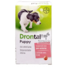 Drontal puppy