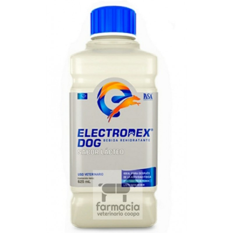Electrodex dog