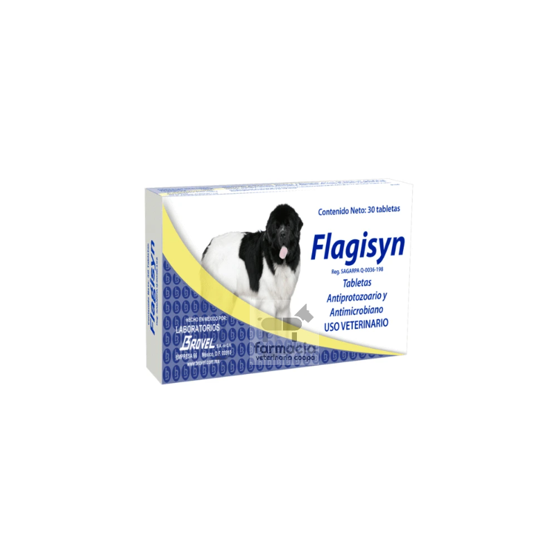 Flagisyn