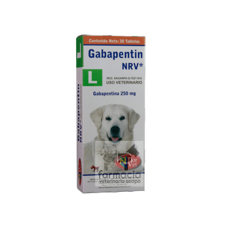 Gabapentin L