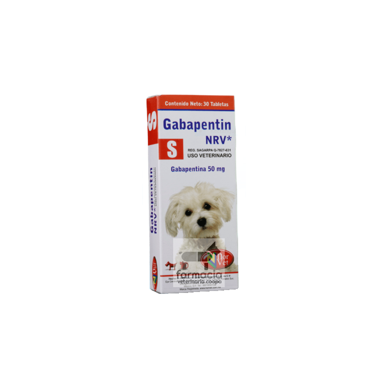 Gabapentin S