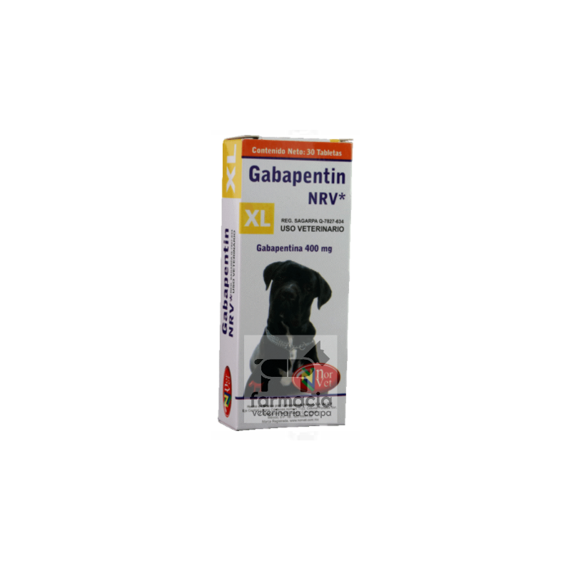 Gabapentin XL