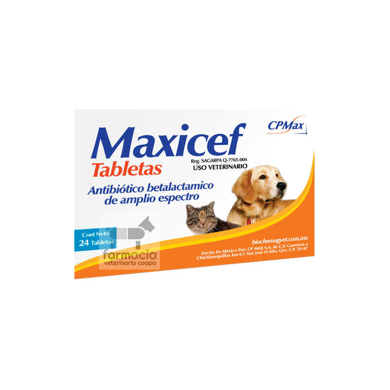 Maxicef tabletas