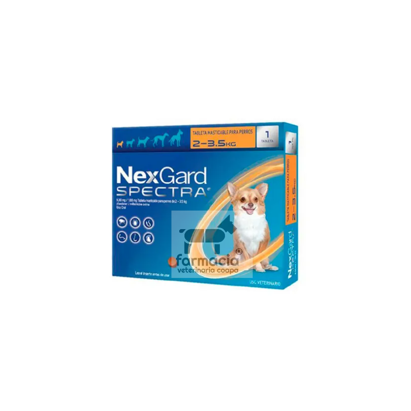Nexgard Spectra extra- chico ( 2 - 3.5 kg)