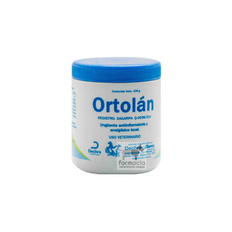 Ortolán