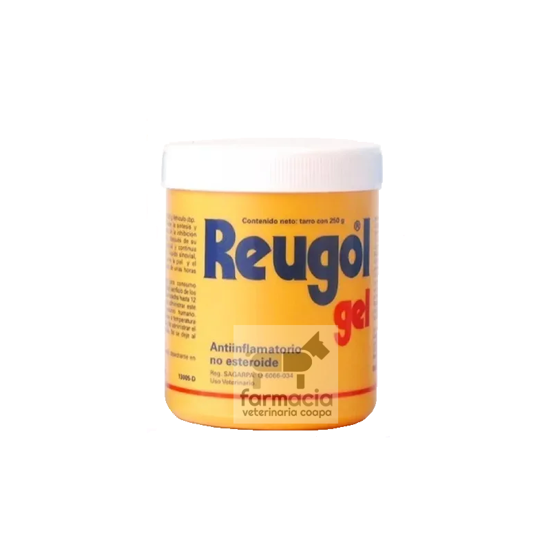 Reugol gel 250 g