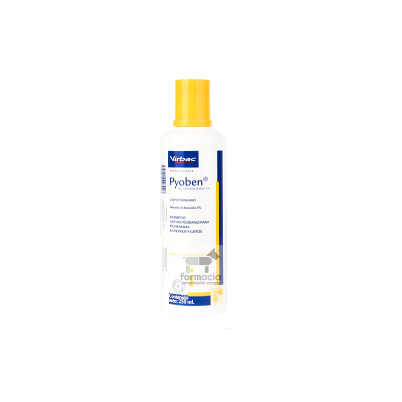 Pyoben Shampoo