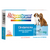 Spectrum  Clindamicina 50 mg