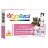 Spectrum Amoxicilina-Ácido clavulánico 50 mg