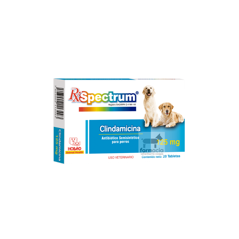 Spectrum Clindamicina 125 mg