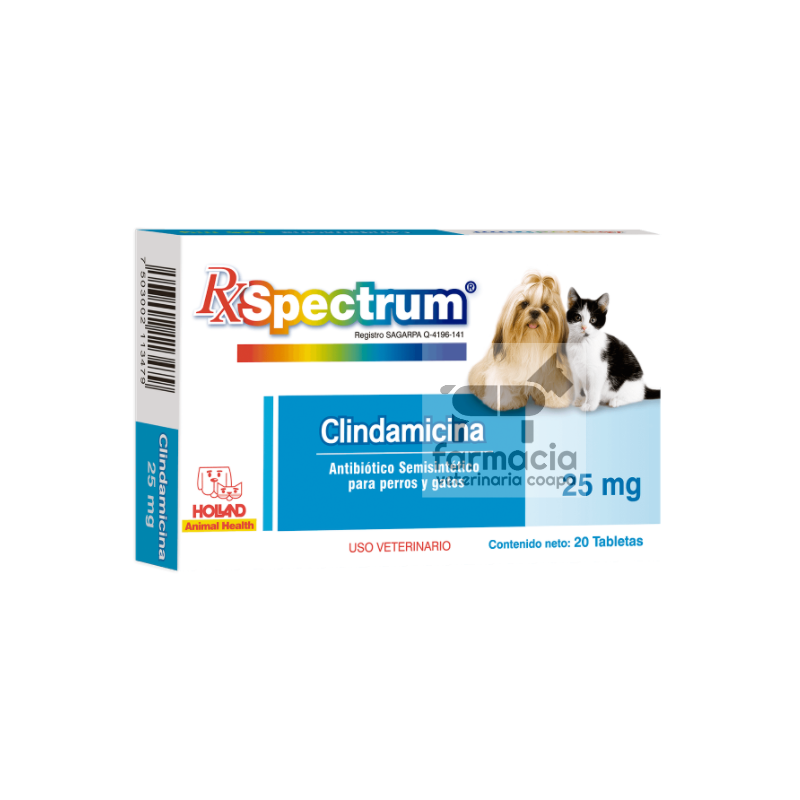 Spectrum Clindamicina 25 mg
