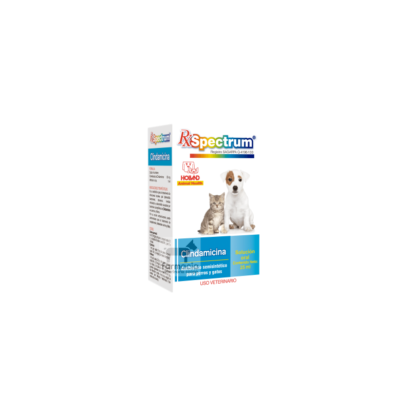 Spectrum Clindamicina solución 25 ml