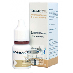 Tobracetil solución