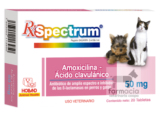 Antibióticos