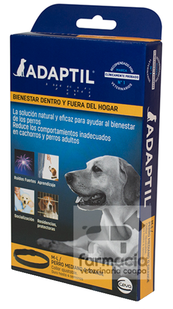 Cardiología y Especialidades
